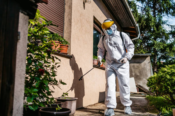 Best Flea Control Services  in El Paso De Robles, CA