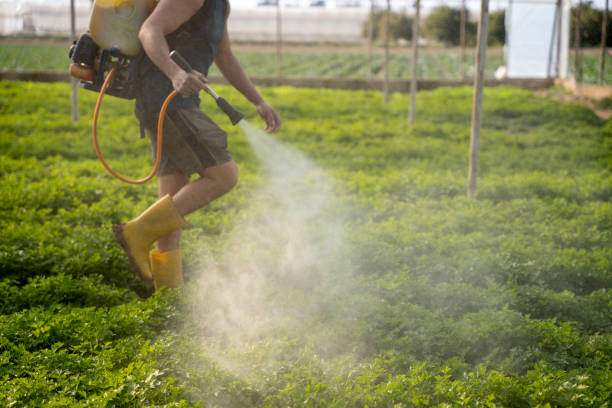 Reliable El Paso De Robles, CA Pest Control Solutions