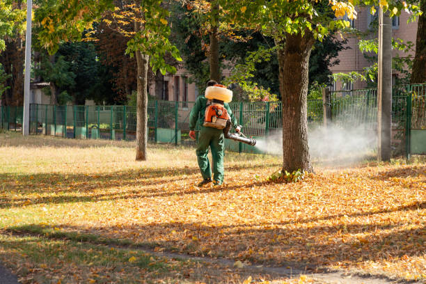 Best Pest Control Near Me in El Paso De Robles, CA